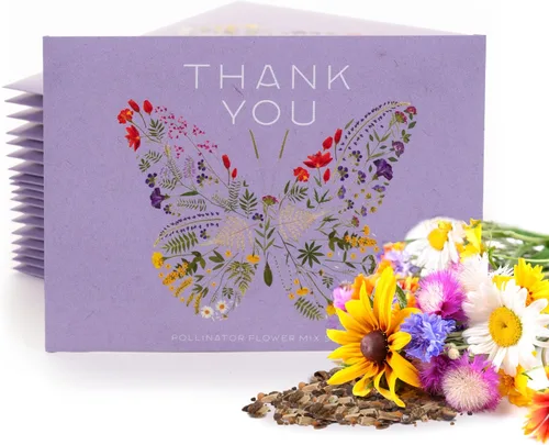 Bentley Seed Co. Paquete de agradecimiento – Mezcla de polinizador de mariposas – 25 paquetes de semillas – Regalo de agradecimiento ecológico