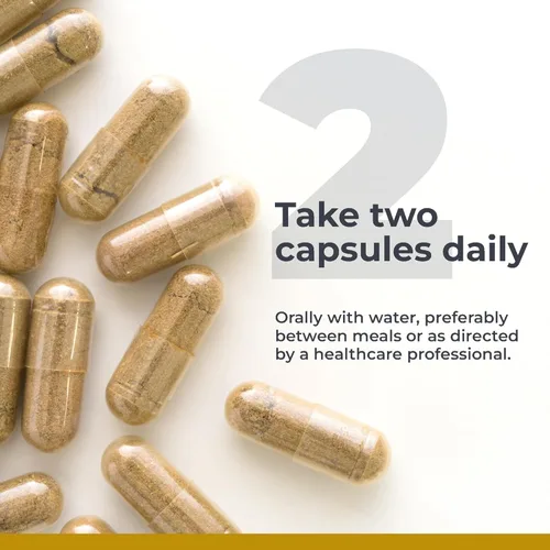 Vista 5 de Premier Research Labs Suplemento de ginseng americano – Cápsulas de ginseng americano, píldoras de raíz de ginseng a base de hierbas, extracto