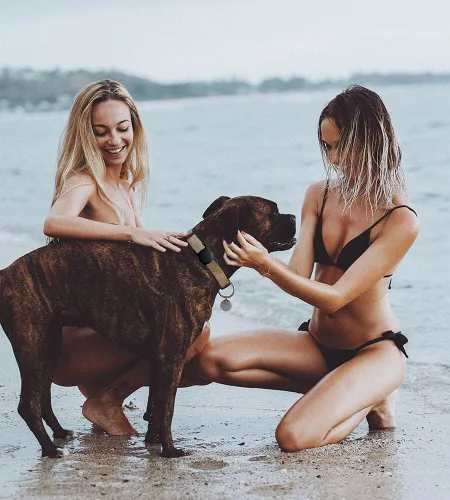 Vista 5 de SWINCHO Soporte para AirTag para collar de perro [2 unidades] Soporte impermeable de silicona elástica de alta resistencia para perros y gatos