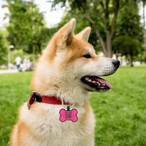 Vista 6 de Etiqueta para perro con código QR grabada para mascotas, etiqueta de nombre de perro personalizada de silicona silenciosa, etiqueta