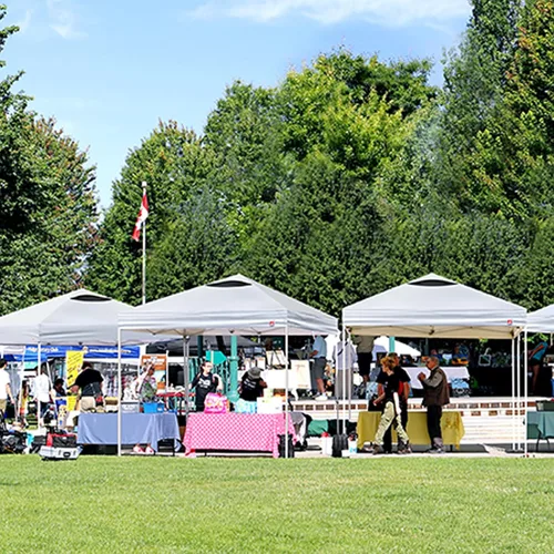 Vista 8 de Tienda de campaña desplegable de 10 x 10 pies, 10 x 10 pies (blanco, 10 x 10 pies)