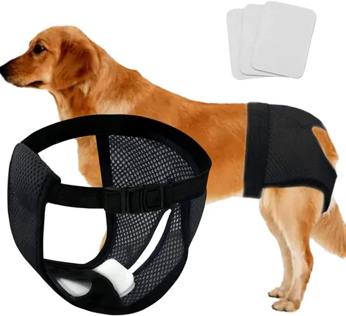 Every Pet - Pañales reutilizables con 3 pañales de repuesto, almohadillas sanitarias lavables de malla transpirable para perros, pañales para