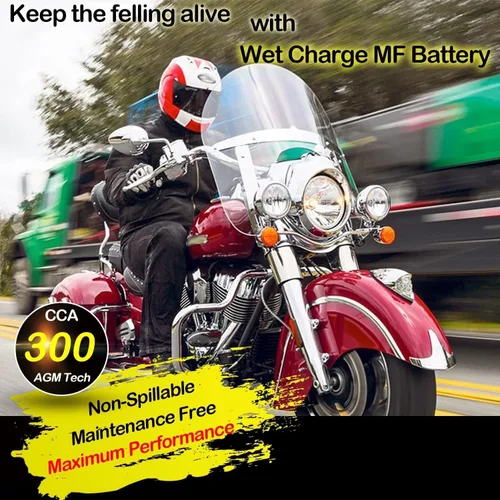 Vista 6 de Weize YTX20HL-BS - Batería para motocicleta de alto rendimiento, libre de mantenimiento, sellada AGM ETX20HL BS