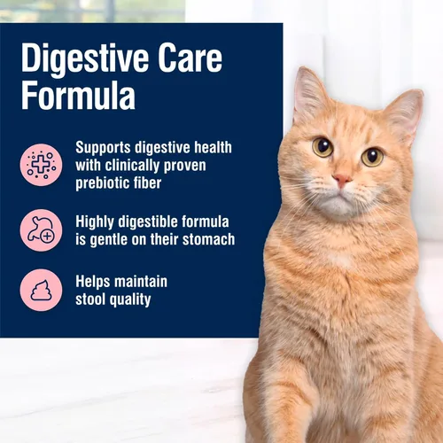 Vista 4 de Blue Buffalo True Solutions Digestive Care Wet Cat Food for Adult Cats, Made with Natural Ingredients, Chicken, 3-oz. Cans (24 Count)