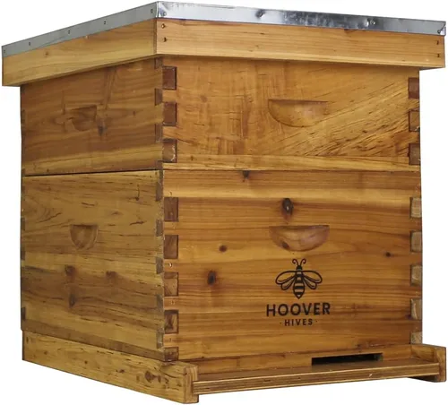 Kit de colmena recubierta de cera de 10 marcos con marcos - (1) profundo y (1) mediano - Acabado original de cera de abeja Hoover Hives