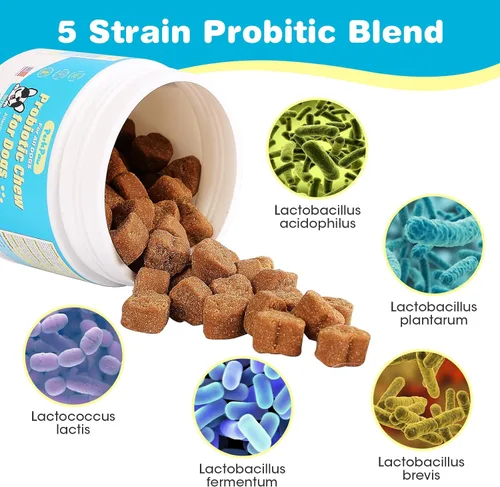 Vista 4 de Probióticos para perros, probióticos para perros para diarrea y apoyo intestinal, las enzimas digestivas promueven la salud intestinal, la salud