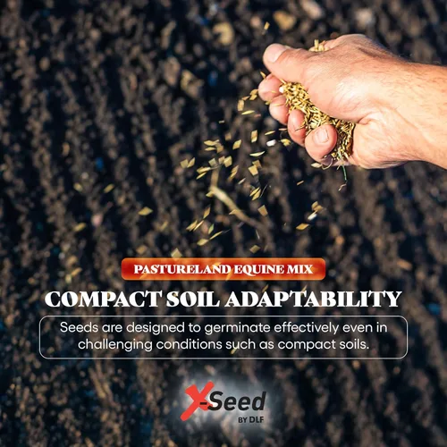 Vista 5 de X-Seed Mezcla de semillas de forraje equino con microimpulso para caballos y ganado, pasto sin cortar con trébol, raigrás y verduras perennes