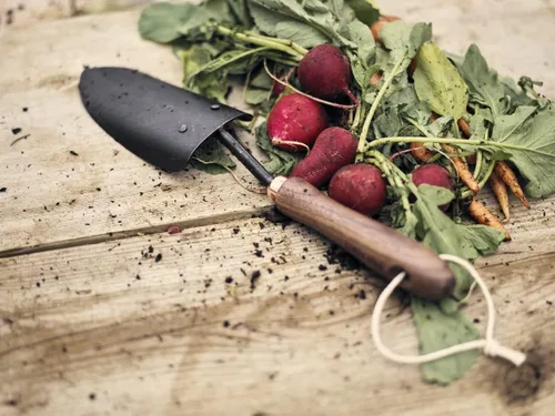 Vista 5 de Pala de mano Barebones - Herramientas de mano para jardinería - Pala y pala de acero inoxidable - Pala de jardín de calidad premium - Herramienta