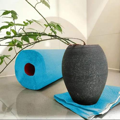 Vista 5 de Renova - Juego de rollos de toallas de papel, 2 rollos, 2 capas, 120 hojas altamente absorbentes, eleva tu imagen con estilo profesional y Azul