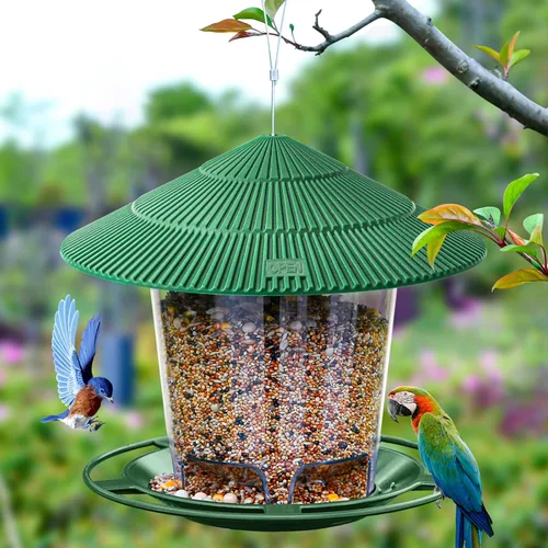 Vista 2 de Hanizi Comedero para pájaros colgante al aire libre para semillas de aves silvestres, verde