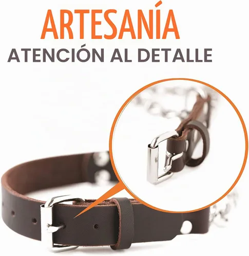 Vista 7 de Collar Martingala para Perros Mighty Paw - Diseño Anti-Tirón - Cadena de Acero Inoxidable - Entrenamiento Limitado con Correa de Cincha - Collar