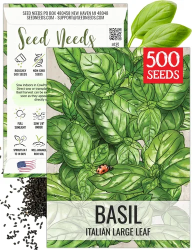 Vista 47 de Seed Needs Sweet Genovese - Semillas de albahaca para plantar, semillas de hierbas culinarias sin OMG y sin tratar para plantar un jardín de cocina