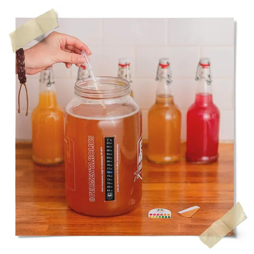 Vista 4 de Fermentaholics Kombucha Brewing Starter Kit – USDA Certified Organic SCOBY & Tea, kit completo de fabricación de kombucha casero con cultivo