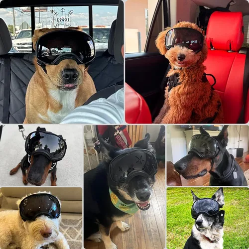 Vista 2 de PETLESO Gafas de sol para perros de razas grandes, lentes de sol para perros de raza mediana y grande, visión amplia, protección para los ojos
