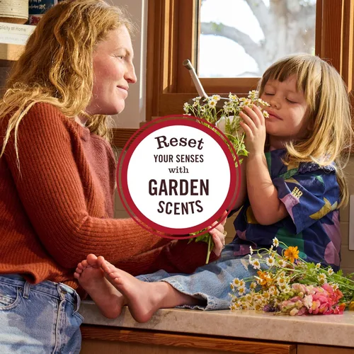 Vista 7 de Mrs. Meyer's Clean Day - Jabón de manos, hecho con aceites esenciales, fórmula biodegradable, edición limitada de menta, 12.5 onzas líquidas