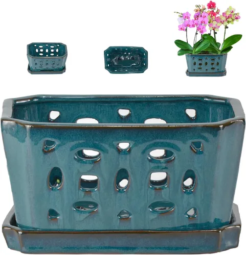W&W Maceta de orquídeas con agujeros y platillo para trasplantar, verde azulado, 9.7 pulgadas