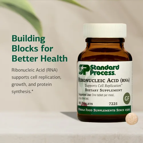 Vista 3 de Proceso estándar ARN de ácido ribonucleico – Apoyo al desarrollo celular – Ayuda a la síntesis de proteínas – Vegano, sin gluten, sin soja y sin