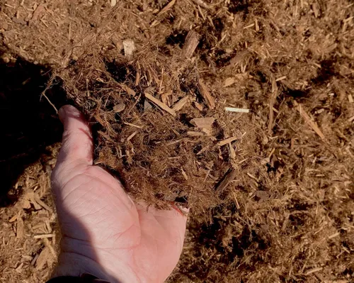 Vista 2 de Mantillo de secoya triturada premium, pelo gorila, 48 cuartos de galón.