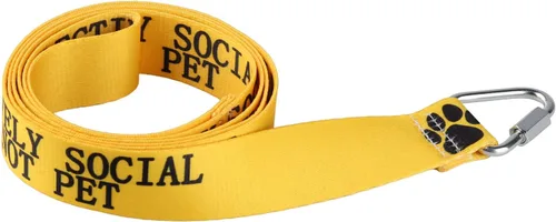 Vista 3 de Divertida correa para perro selectivamente social, no mascotas, correa para perros para caminar, entrenamiento, correas para perros, dueño