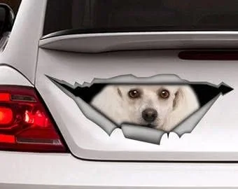 Vista 33 de Calcomanía roja de perro salchicha de pelo largo, calcomanía para mascotas, calcomanía de perro salchicha rojo, calcomanía de vinilo para perro
