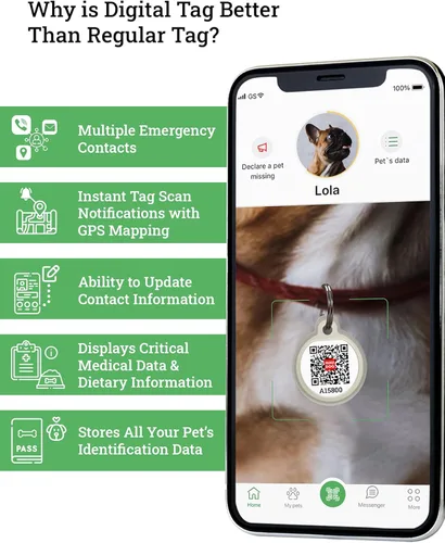 Vista 2 de Etiquetas personalizadas para perros y mascotas, etiqueta de identificación de perro de silicona, etiquetas de identificación de mascotas con código