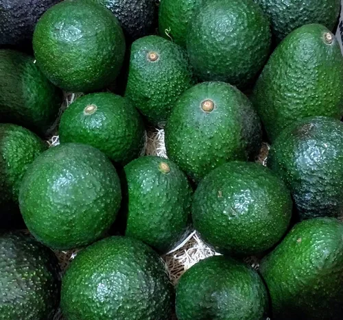 Vista 8 de Paquete de 8 aguacates Fresh California Hass (paquete de 8)