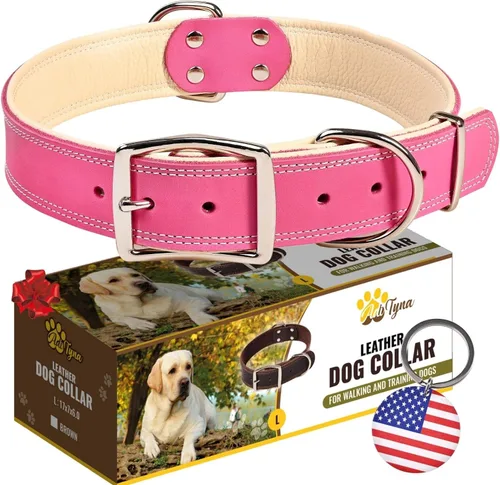 Vista 22 de ADITYNA Collar de perro de cuero negro resistente para perros pequeños, acolchado suave para mayor comodidad, collar de perro pequeño para caminar