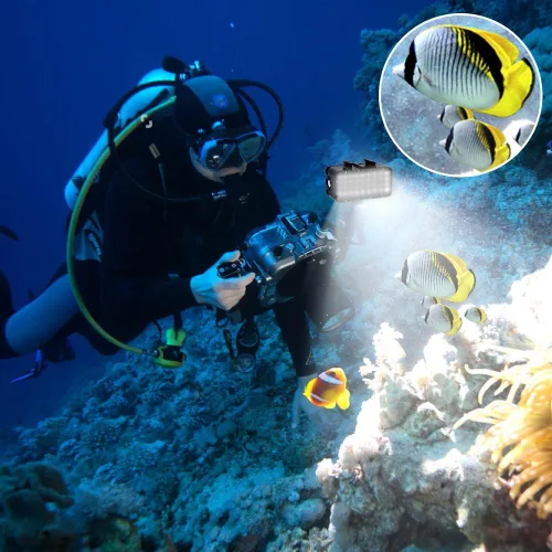 Vista 6 de Suptig Luz de buceo de alta potencia, regulable, impermeable, LED, luz de video, luz nocturna, buceo, luz subacuática, impermeable, 147.6 ft