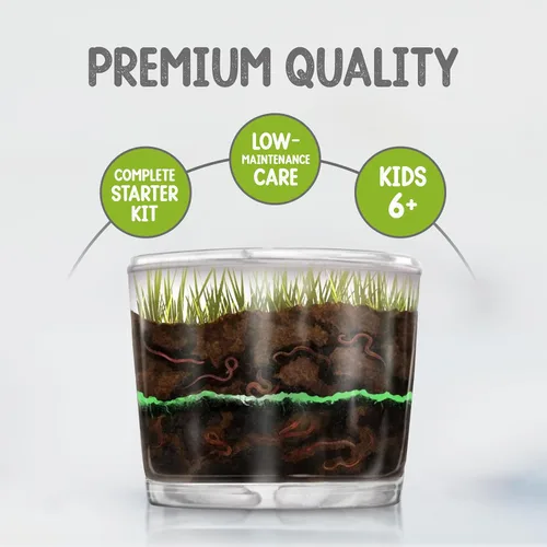 Vista 6 de Kids Gusano Granja Observación Kit se envía con Live gusanos