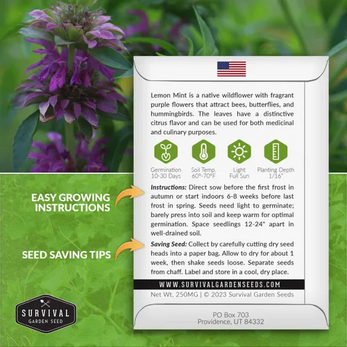 Vista 2 de Lemon Mint Seeds for Planting - 1 Packet with Instructions to Plant & Grow Fragrant Lemon Mint in Your Home Herb Garden - Non-GMO Heirloom Variety