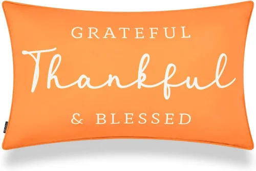 Hofdeco Funda de almohada lumbar para interiores y exteriores, solo para patio, porche, sofá, Grateful Thankful, 12 x 20 pulgadas, naranja