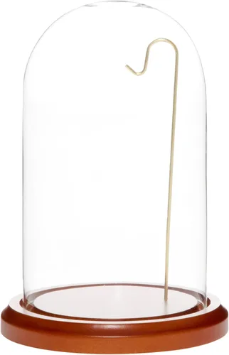 Vista 6 de Plymor Cúpula de exhibición de cristal de reloj/adorno de 4 "x 7