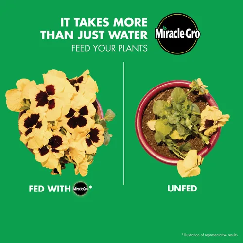 Vista 6 de Miracle-Gro Regadera individual Alimento vegetal soluble en agua multiusos, paquete de 2