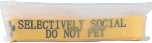 Vista 6 de Divertida correa para perro selectivamente social, no mascotas, correa para perros para caminar, entrenamiento, correas para perros, dueño
