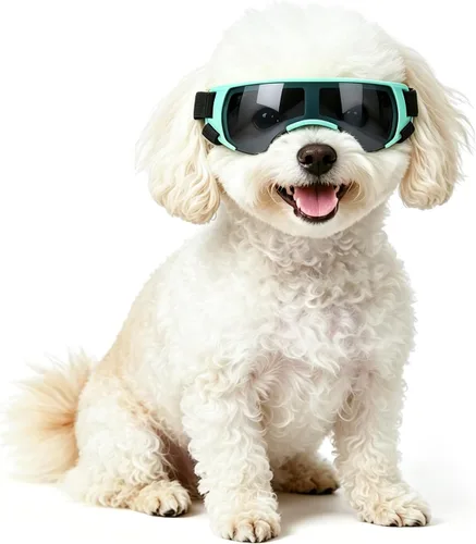Vista 13 de Gafas de sol para perros de raza media, lentes reemplazables transparentes/negras, protección UV para perros medianos, protección ocular de perro