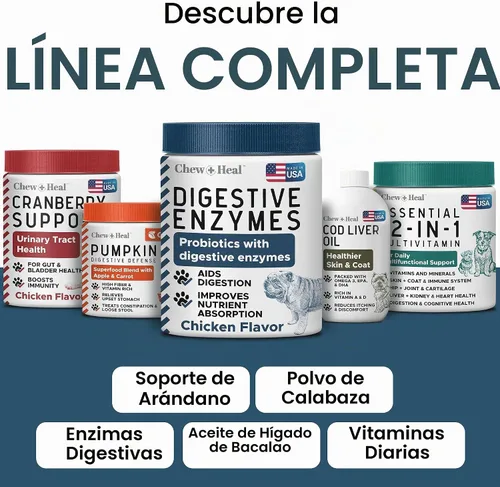 Vista 4 de Probióticos para perros con enzimas digestivas - 120 masticables suaves - Apoya el tracto digestivo saludable, ayuda a la absorción de nutrientes