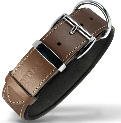 Vista 9 de Filbert Collar de cuero para perro, collar de cuero genuino para perros pequeños, estampado de patas en relieve con hebilla, grano completo curtido