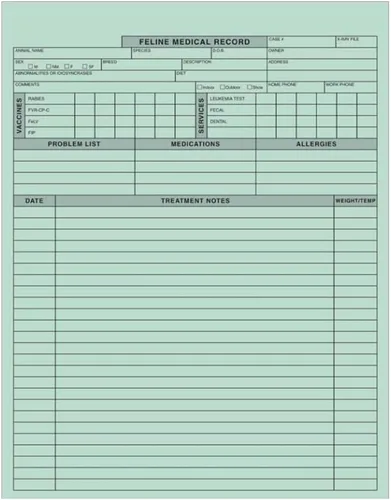 Doctor Stuff - Formularios Veterinarios, Registro Médico Veterinario Felino, Forma de 2 Caras, 8-1/2" x 11", Verde, Stock de 100 libras, Cf101
