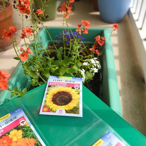 Vista 8 de Samsill Organizador de semillas, protector de almacenamiento de jardín reutilizable de 4 bolsillos, mangas transparentes de 3.5 x 5 pulgadas