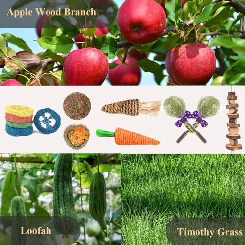 Vista 4 de Grddaef 18 piezas de juguetes de conejo, juguetes de conejo, conejillo de indias, juguete natural de madera de manzana, hierba, palitos de Timothy