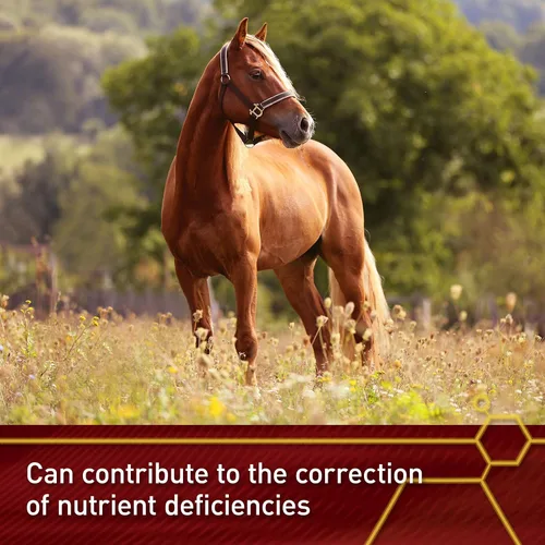 Vista 4 de Vita Flex Suplemento Pro E y selenio de caballo, antioxidantes esenciales equilibrados, 20 libras, suministro para 320 días