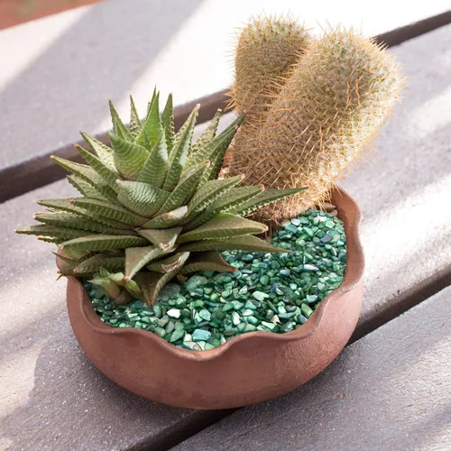 Vista 7 de Conchas trituradas para manualidades, conchas marinas para arte de bricolaje, rellenos de jarrón, dispersión de mesa, recuerdo de fiesta, decoración