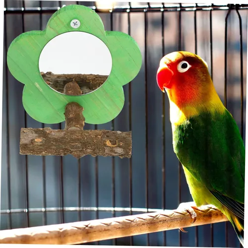 Vista 7 de Jaula de periquitos espejo para mascotas con forma acrílica canarios juguete loro, perca, flor verde, pinzón, pájaros, jaula de conure