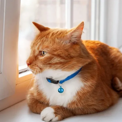 Vista 5 de TIESOME Campanas para mascotas para collar de perro y gato, accesorios colgantes para mascotas, acero inoxidable, 24 juegos de campanas