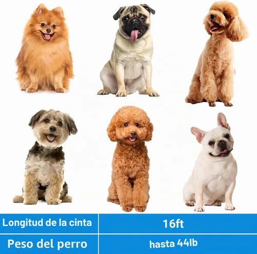 Vista 6 de Correa retráctil para perro Segarty, de 16 pies, resistente para caminar con perros medianos y pequeños de hasta 44 libras, mango antideslizante