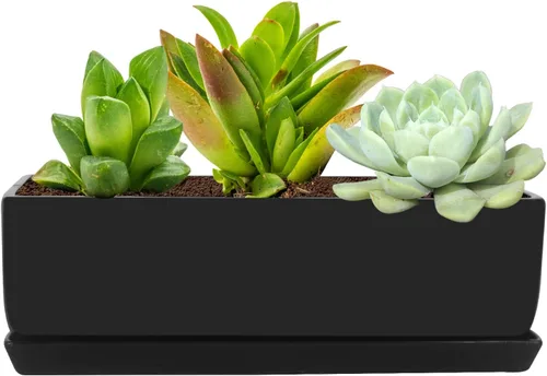 Vista 2 de Vencer Maceta rectangular moderna minimalista de cerámica para suculentas de 14 pulgadas, caja con ventana con platillo, soporte de escritorio