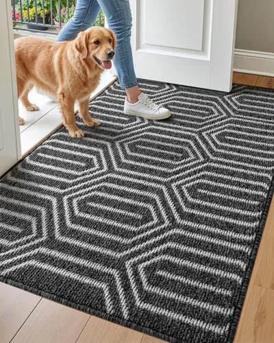 Vista 15 de DEXI - Alfombras para puerta de entrada, antideslizante, lavable, absorbente, resistente a la suciedad en el interior, alfombra de entrada de perfil