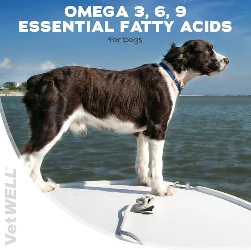 Vista 2 de VetWELL Suplemento Omega 3 para perros con aceite de krill antártico, astaxantina, Omega 3 6 9, EPA, DHA para una piel y pelaje increíbles