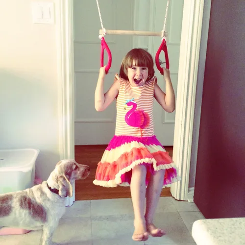 Vista 6 de DreamGym barra de Trapecio y gimnasia con anillas para puerta.