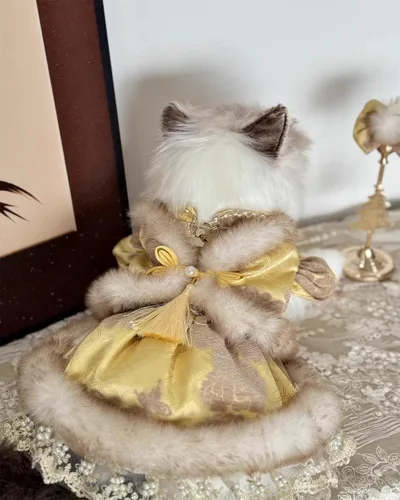 Vista 26 de Moda Vestido de Princesa de Encaje para Perro Cachorro Dulce para Perro EXTRAL Pequeño y Pequeño A-Negro XX-Pequeño